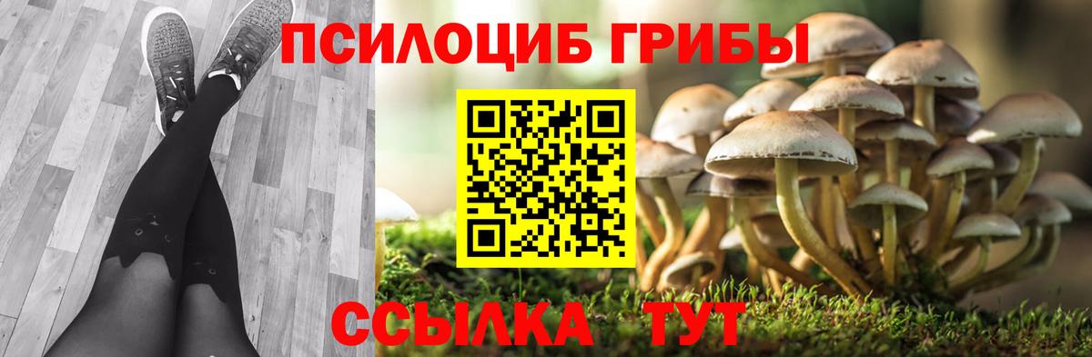 Галлюциногенные грибы мицелий  Псилоцибиновые грибы ЛСД  Вход с VPN  Горно-Алтайск 